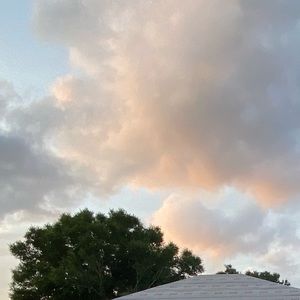 Meet your Posher, Alexi